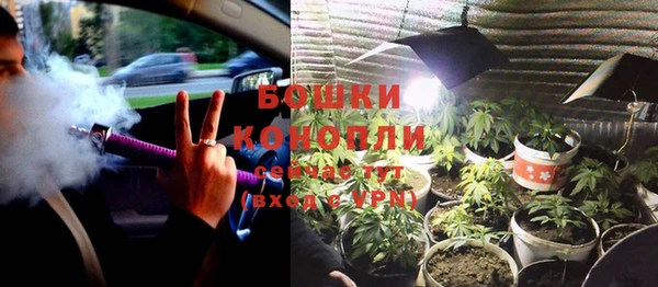 ПСИЛОЦИБИНОВЫЕ ГРИБЫ Куровское