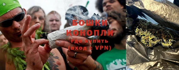бутират Иннополис
