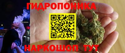 спиды Аргун