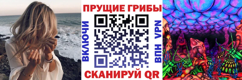 Псилоцибиновые грибы мицелий Пятигорск