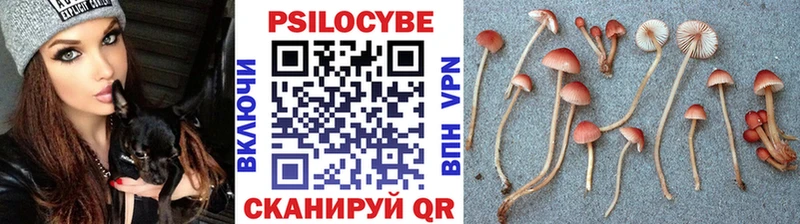 Галлюциногенные грибы ЛСД  хочу   KRAKEN ссылки  Пятигорск 