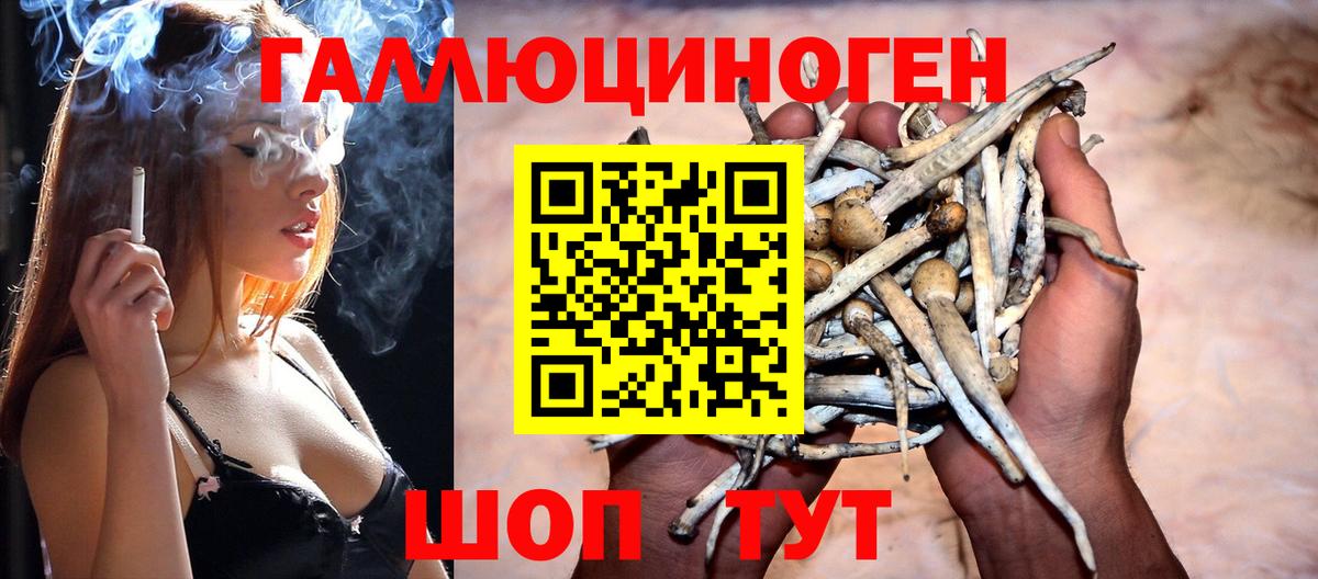 Псилоцибиновые грибы Cubensis Пятигорск